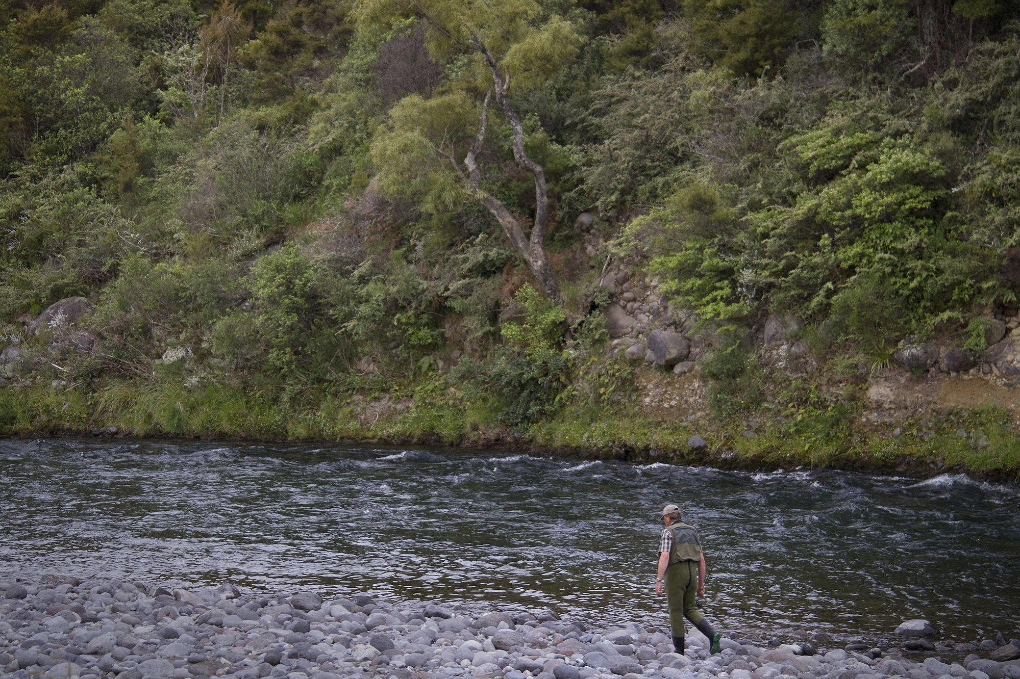 Turangi Trout Lodge Dış mekan fotoğraf