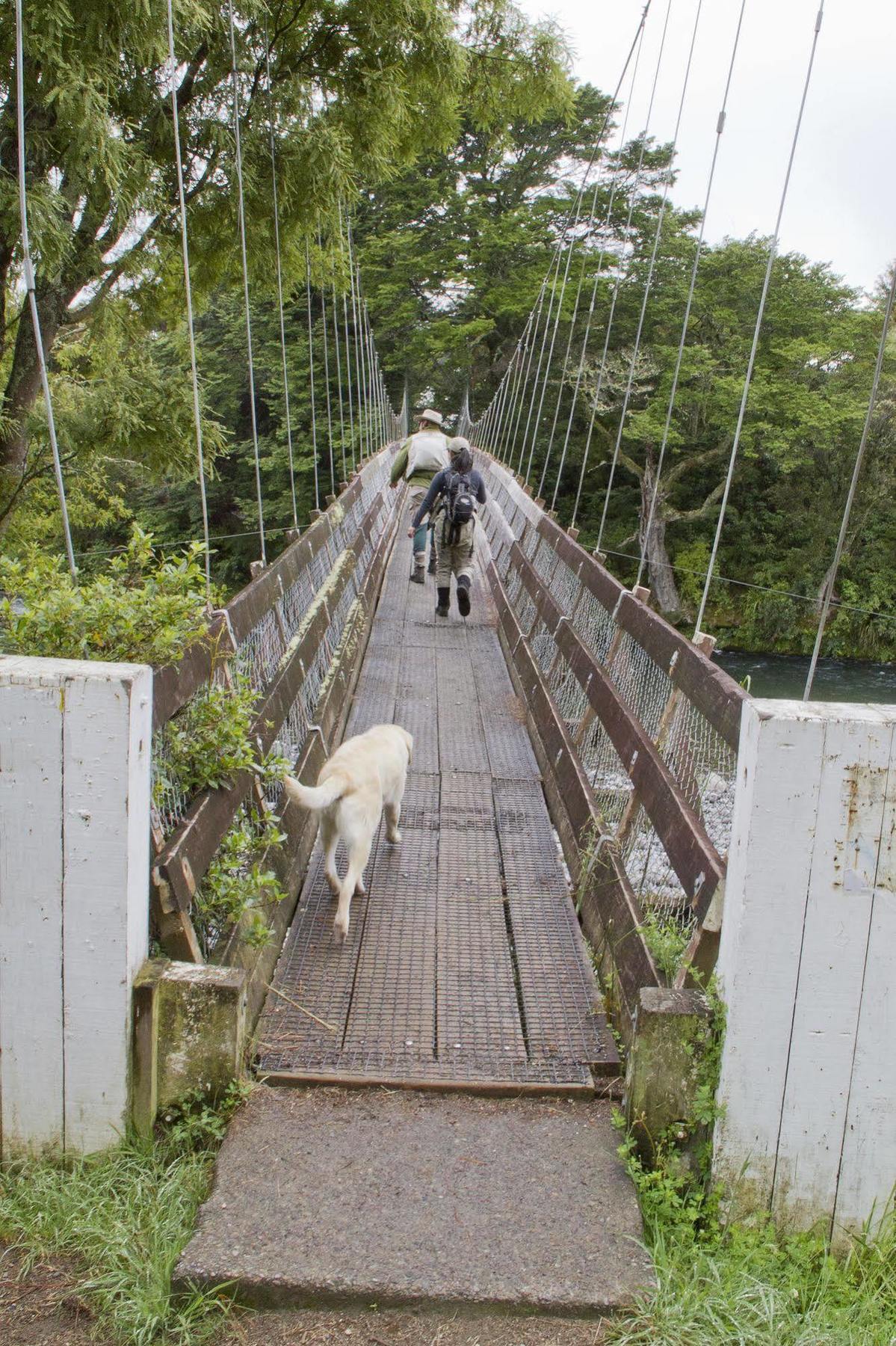Turangi Trout Lodge Dış mekan fotoğraf