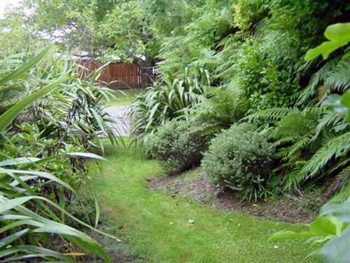 Turangi Trout Lodge Dış mekan fotoğraf
